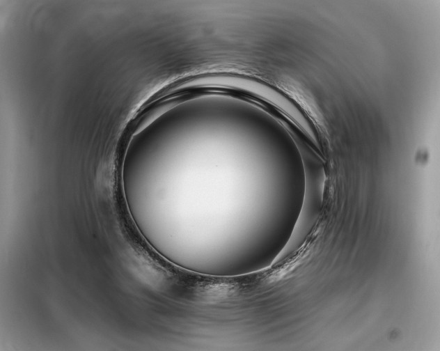 X0000099460156200805091537