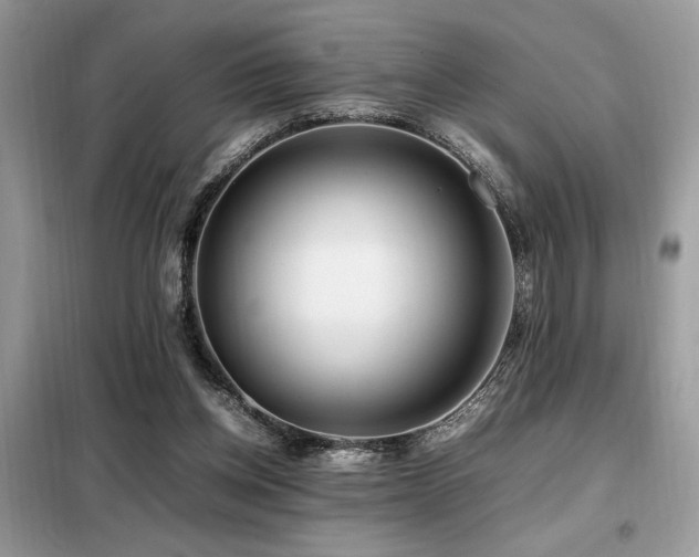 X0000099460158200805091537