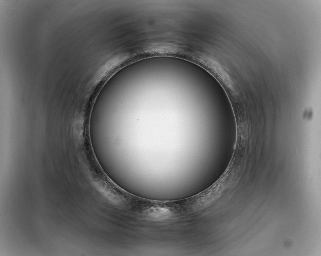 X0000099460159200805091537