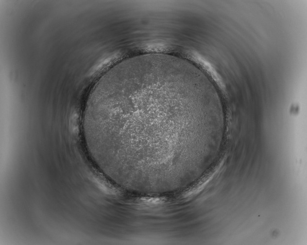 X0000099460161200805091537