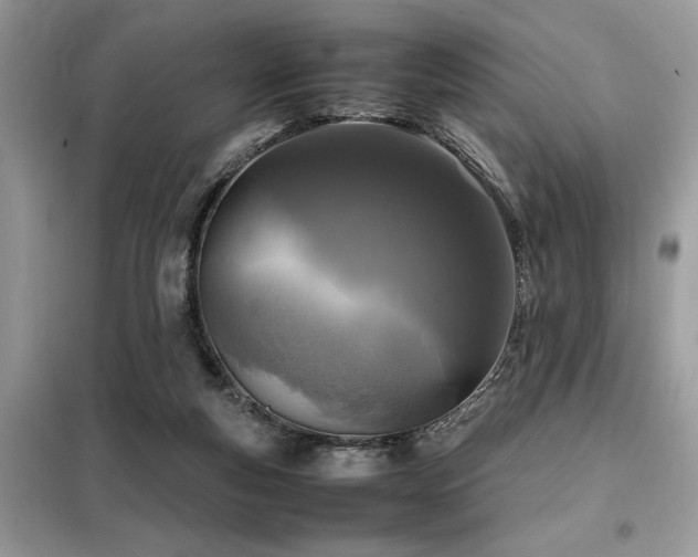 X0000099460163200805091537