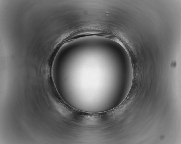 X0000099460164200805091537