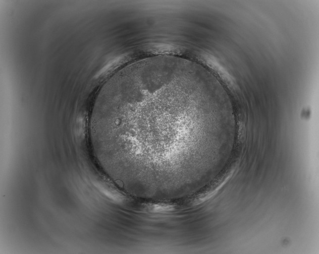 X0000099460165200805091537