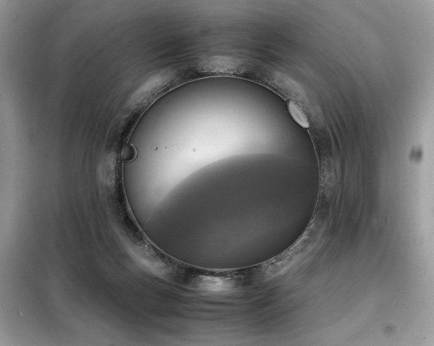X0000099460167200805091537