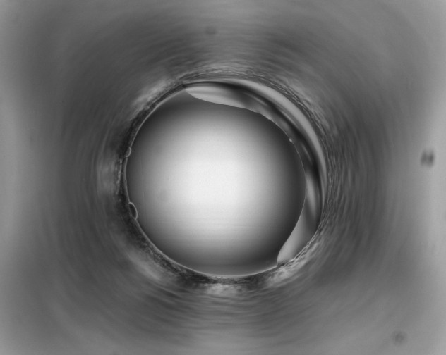 X0000099460168200805091537