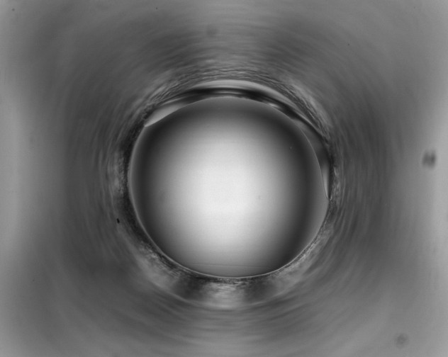 X0000099460170200805091537