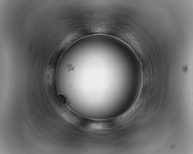 X0000099460171200805091537