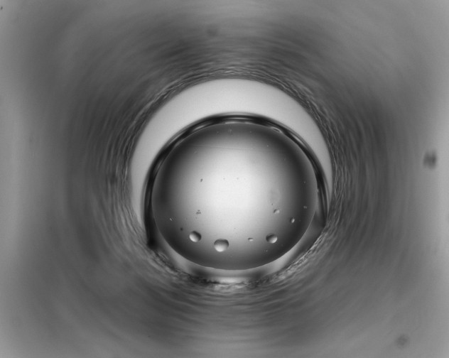 X0000099460172200805091537