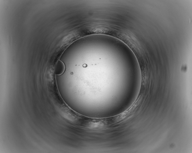 X0000099460175200805091537