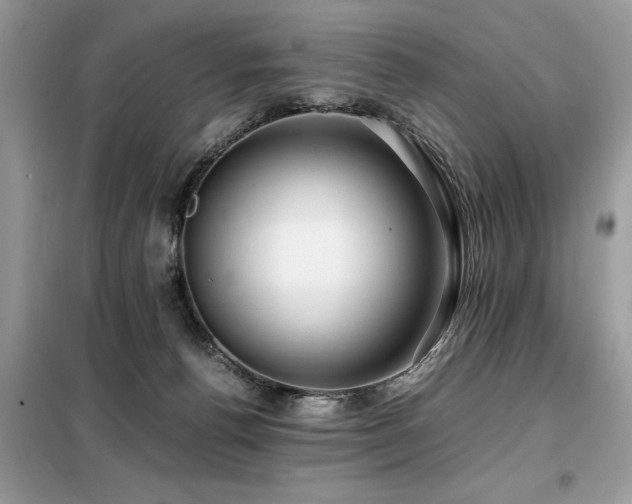 X0000099460176200805091537