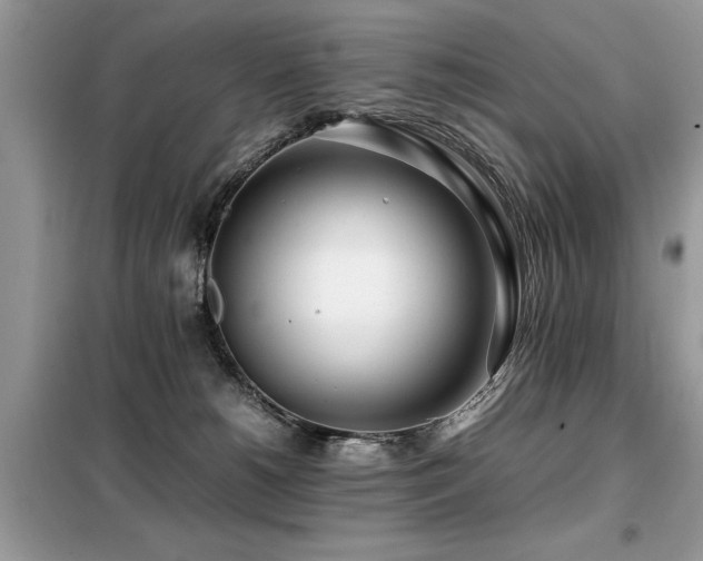 X0000099460180200805091537