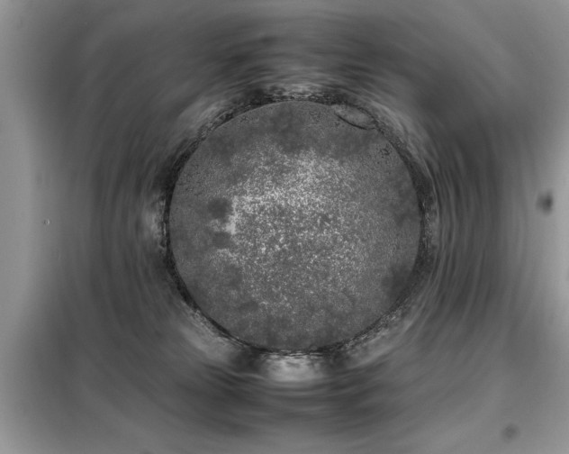 X0000099460181200805091537