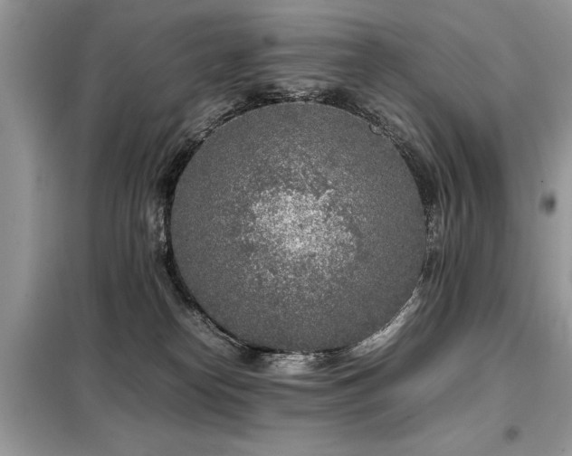 X0000099460182200805091537