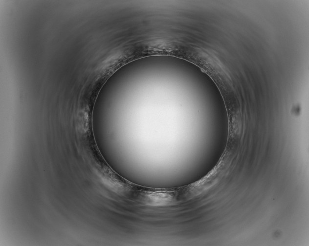 X0000099460183200805091537