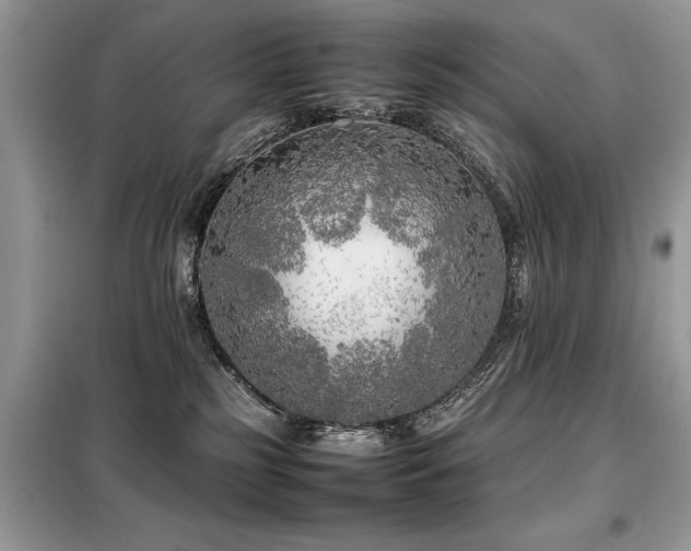 X0000099460185200805091537