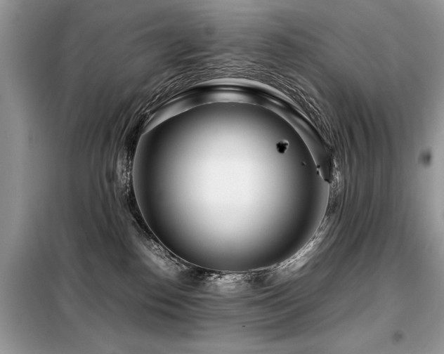 X0000099460186200805091538