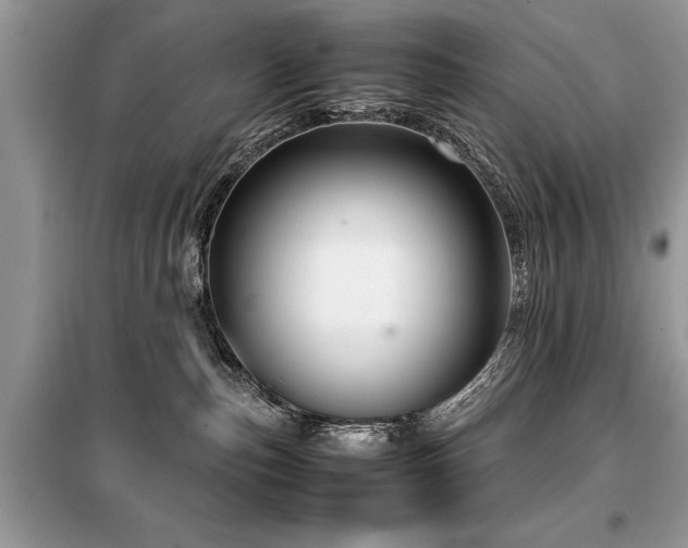 X0000099460187200805091538