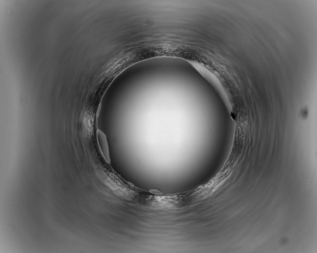 X0000099460188200805091538