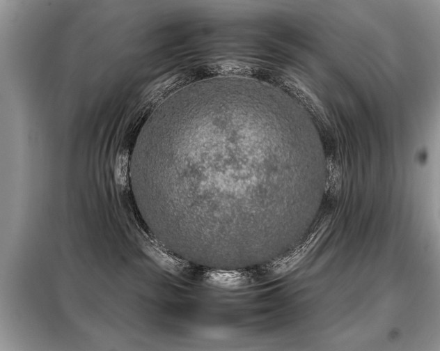 X0000099460189200805091538