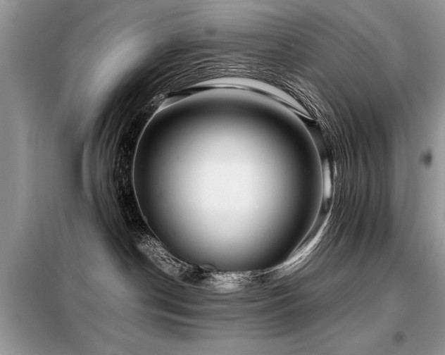 X0000099460190200805091538