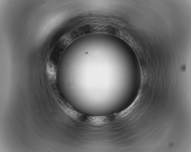 X0000099460191200805091538