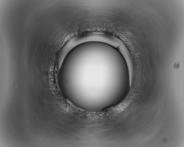 X0000099460192200805091538