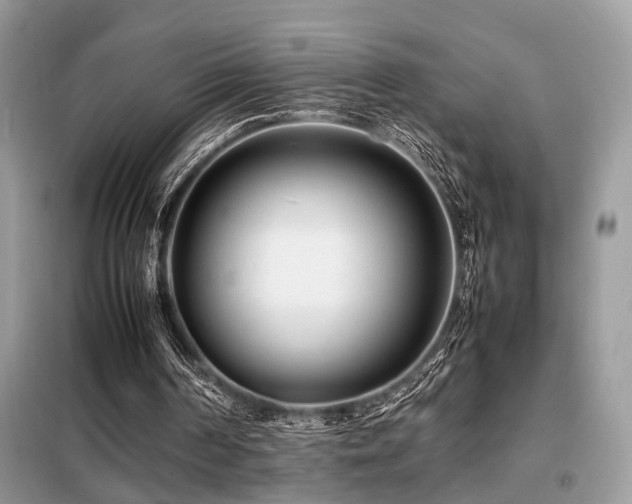 X0000099460194200805091537