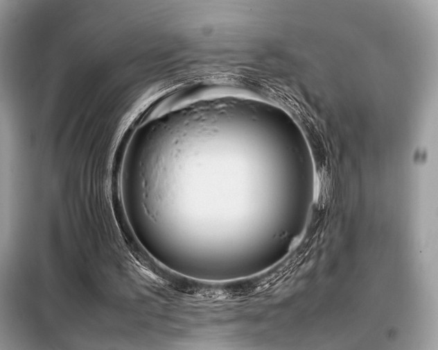 X0000099460195200805091537