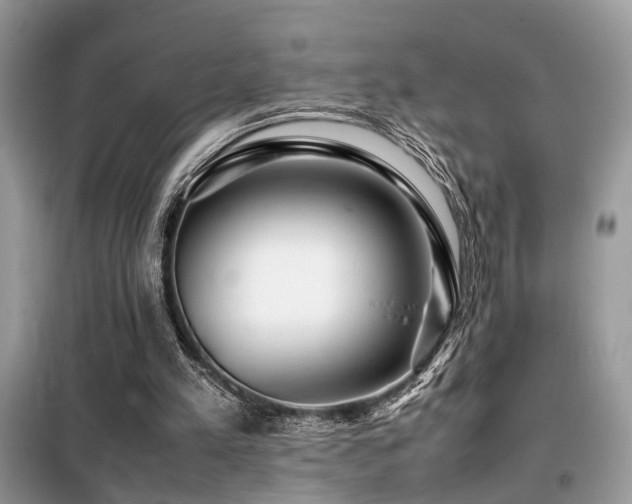 X0000099460197200805091537