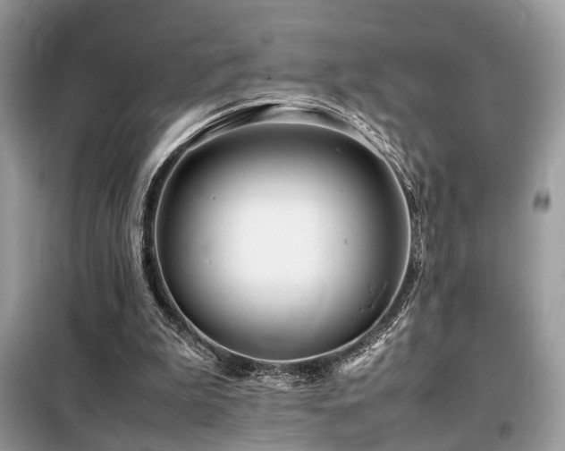 X0000099460199200805091537