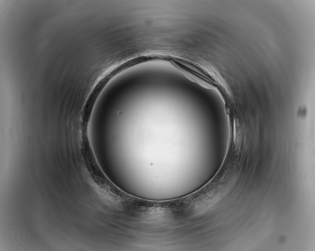 X0000099460204200805091537