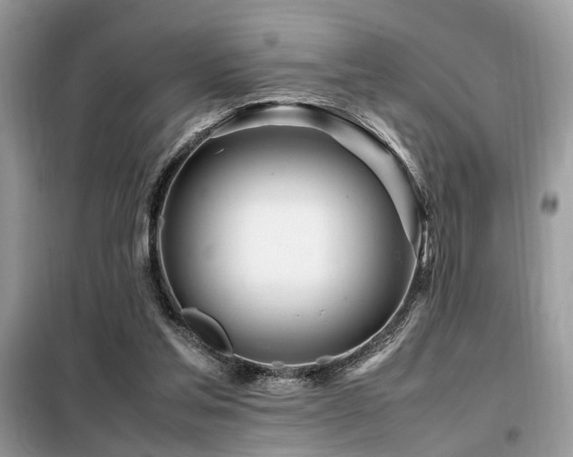 X0000099460205200805091537