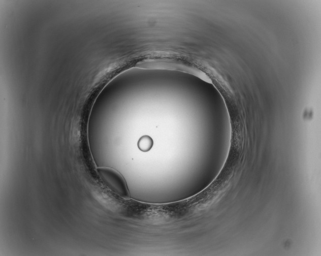 X0000099460207200805091537