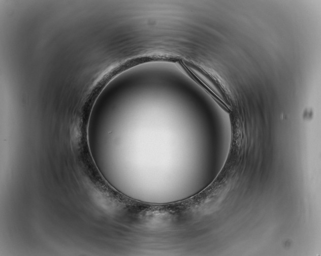 X0000099460208200805091537