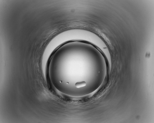 X0000099460209200805091537