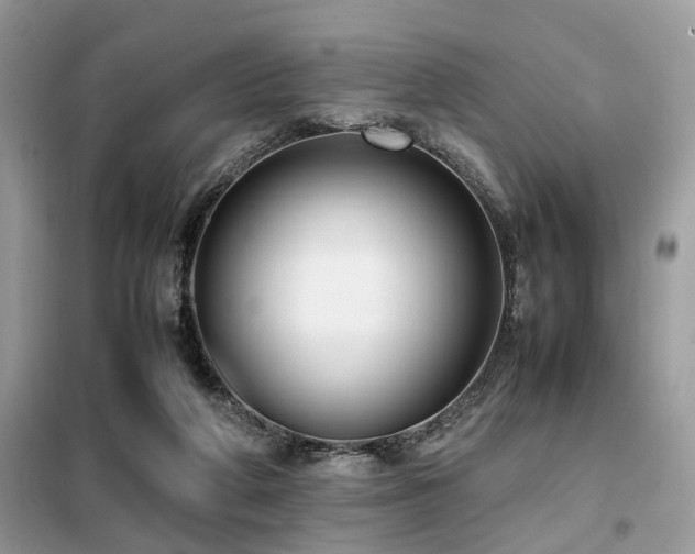 X0000099460210200805091537