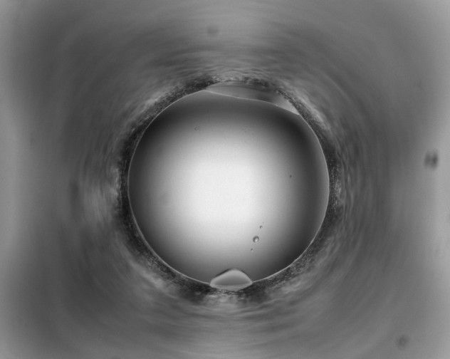 X0000099460211200805091537