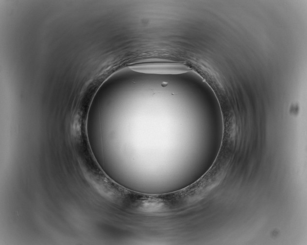 X0000099460214200805091537