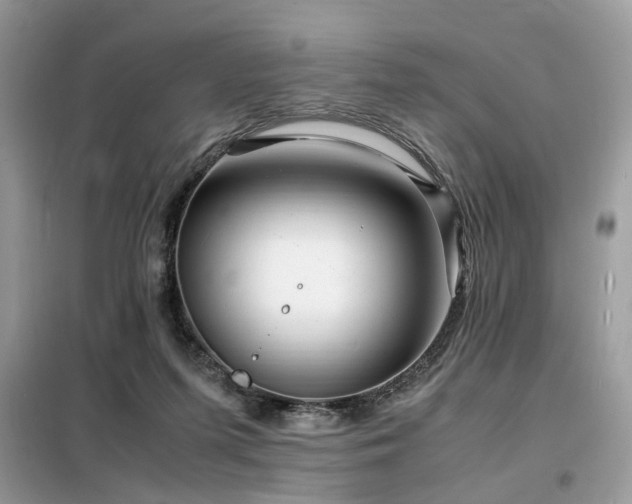 X0000099460215200805091537