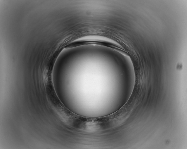 X0000099460216200805091537