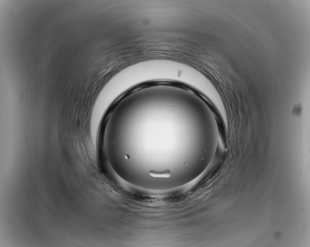 X0000099460219200805091536