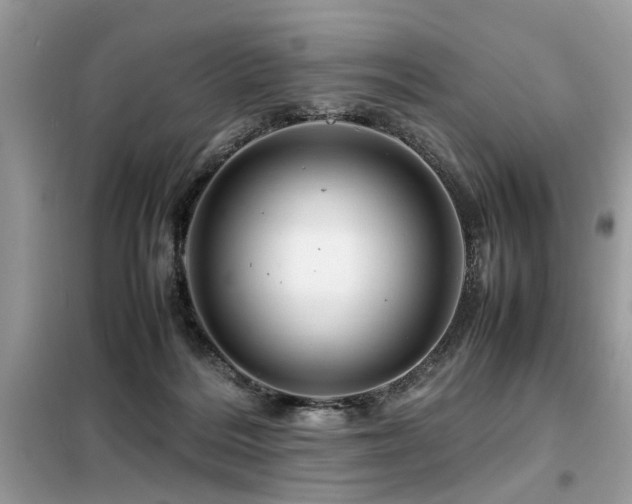 X0000099460220200805091536