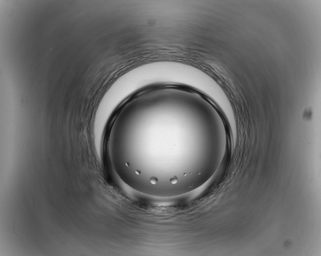 X0000099460221200805091536