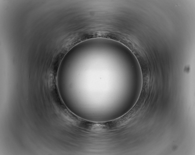 X0000099460222200805091536