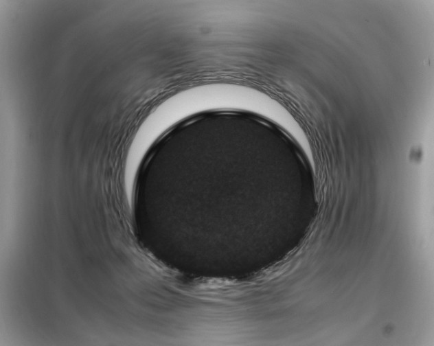 X0000099460223200805091536