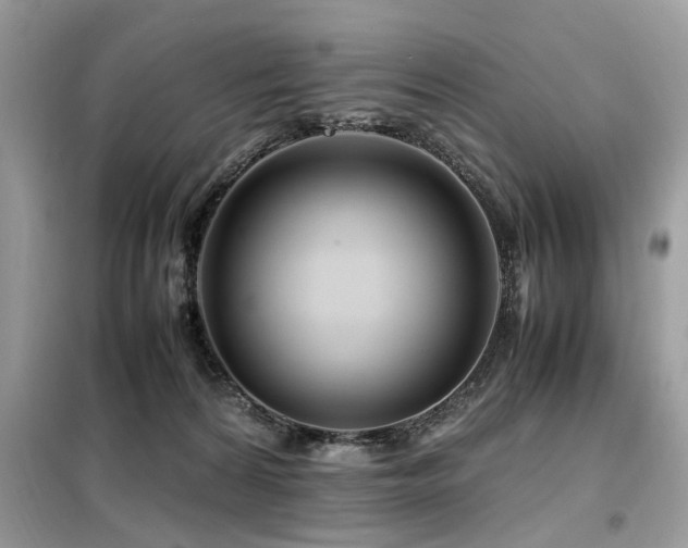 X0000099460224200805091536
