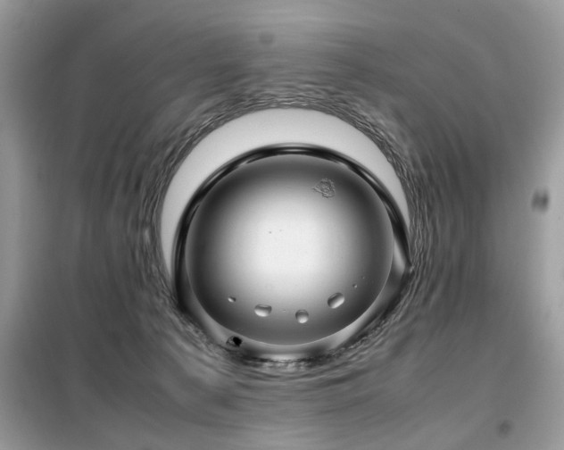 X0000099460225200805091536