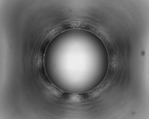 X0000099460226200805091536
