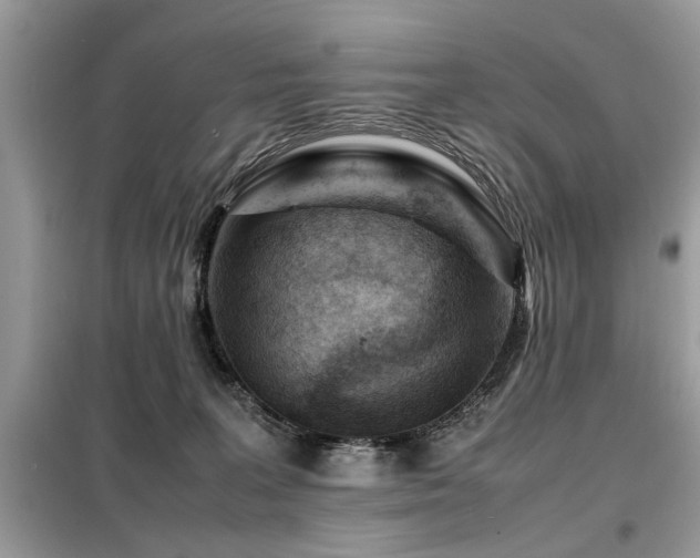 X0000099460227200805091536