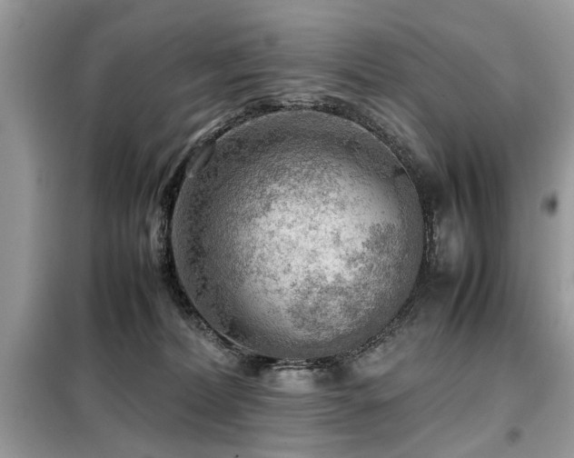 X0000099460228200805091536